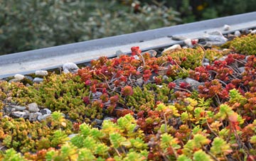 the cost of St Michaels Hamlet green roof installation