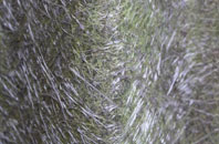 St Michaels Hamlet fibreglass roof work